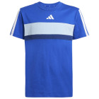 ROYBLU/CWHITE